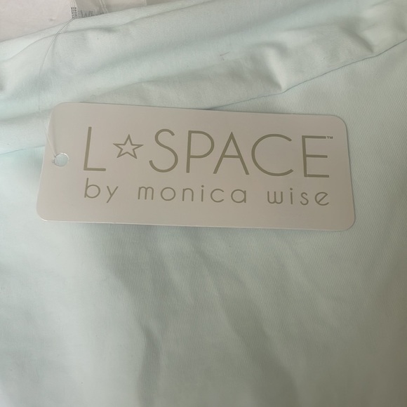 L*Space Veronica Banded Hipster Bikini Bottom in Glass - Picture 7 of 12